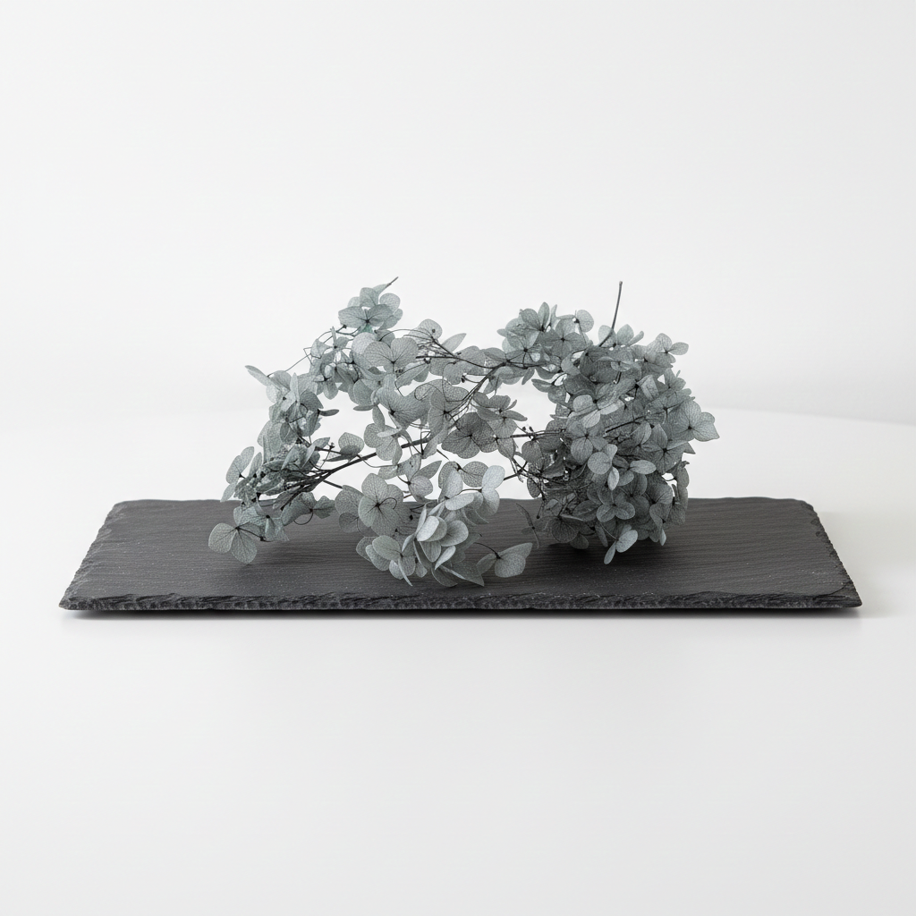 Stabilizovaná hortenzie modrošedá v boxu – sušená květina pro aranžování a dekorace